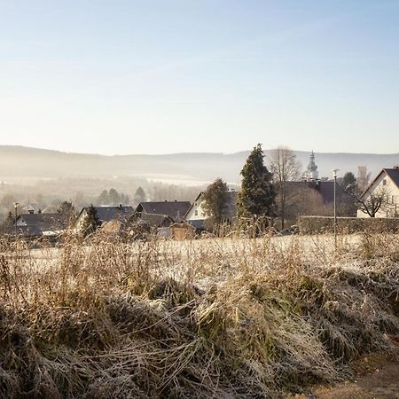 Ferienwohnung Bergaecker Neualbenreuth Exteriér fotografie